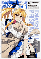 Fate/kaleid liner プリズマ☆イリヤ ドライ!! (6) (カドカワコミックス・エース)