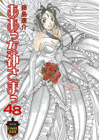 Amazon.co.jp： ああっ女神さまっ(48)限定版 FINAL BOX (講談社キャラクターズA): 藤島 康介: 本