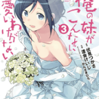 とても重くてとても愛しいあやせ「俺の妹がこんなに可愛いわけがない あやせif」3巻