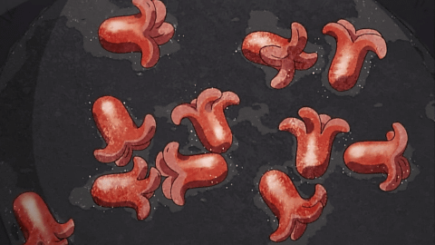 true_tears_090705_10